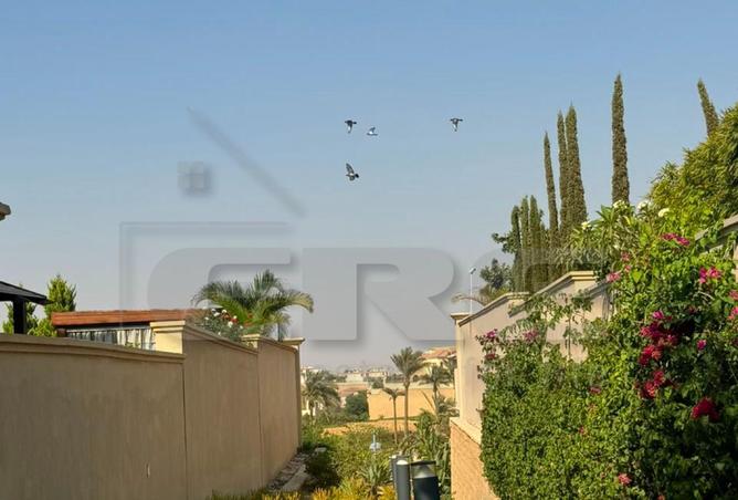 85322006 - Property Image 3