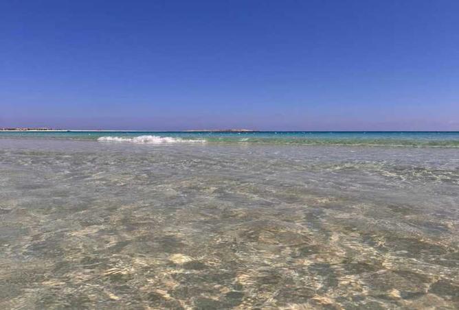 8560812 - صورة العقار 3