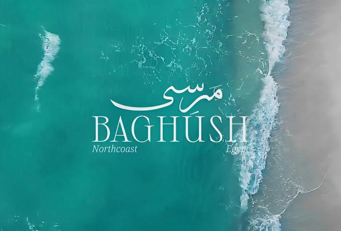 8560812 - صورة العقار 2