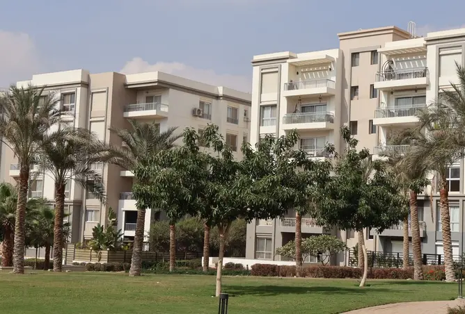 115155261 - Property Image 2