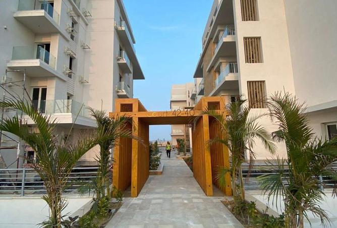 58246728 - صورة العقار 3