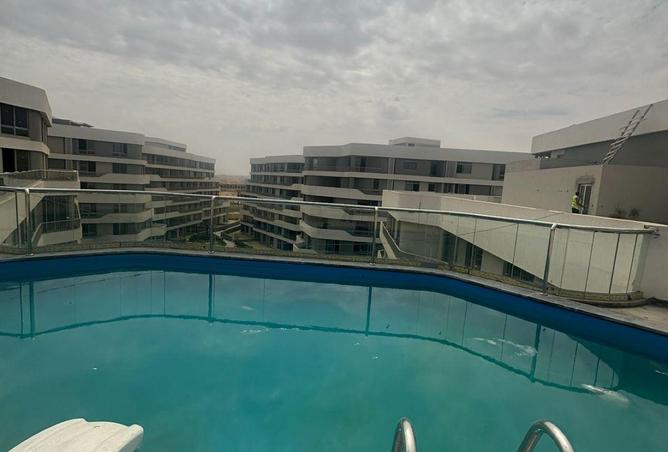 8633290 - Property Image 3