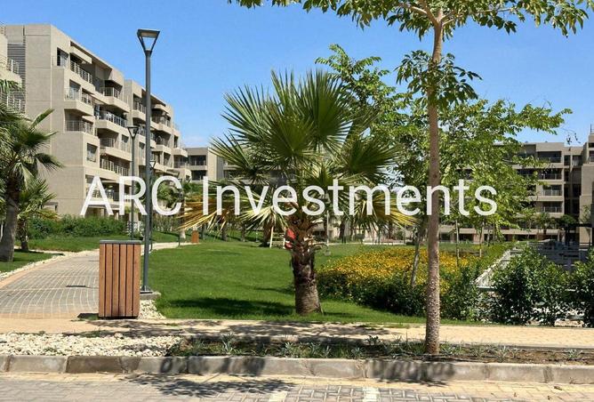 64649430 - صورة العقار 2