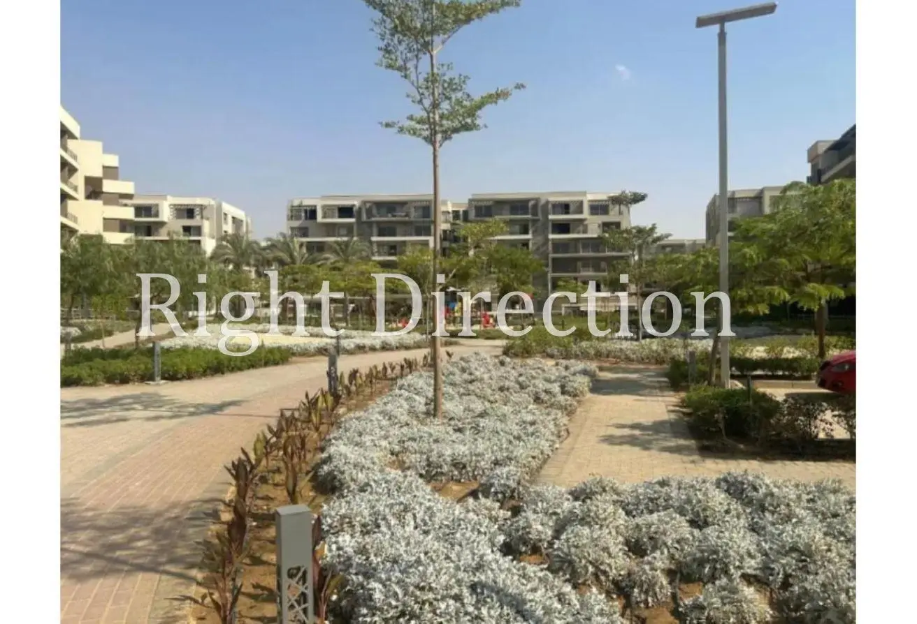 113263558 - Property Main Image
