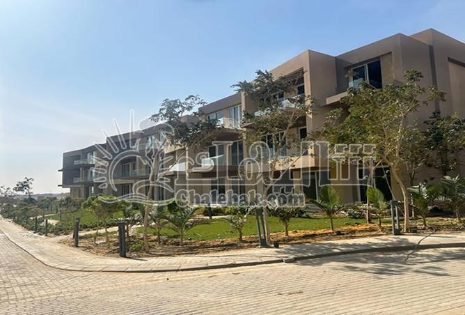 8431339 - Property Image 3