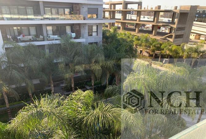 65909399 - Property Image 3