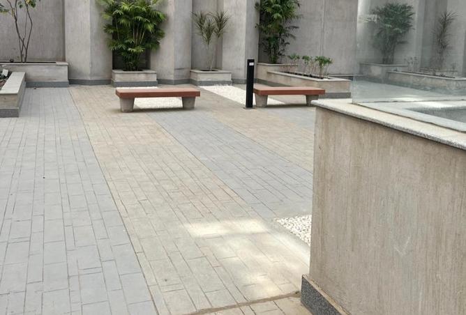 66696782 - Property Image 2