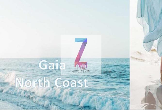 66175725 - Property Image 2