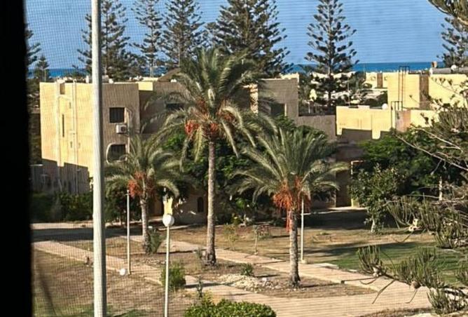 8497485 - Property Image 3