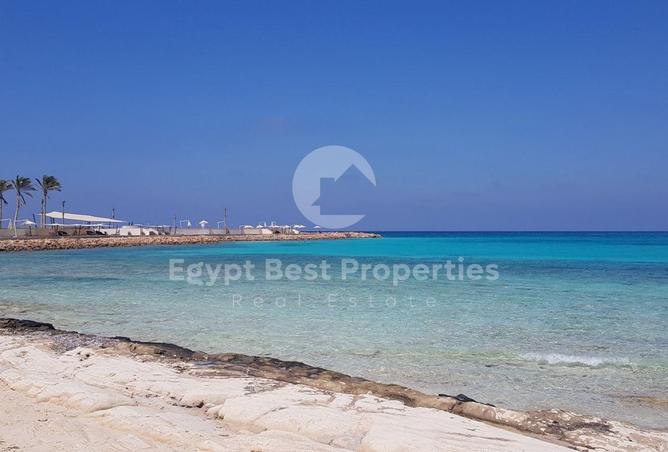 96859661 - Property Image 2