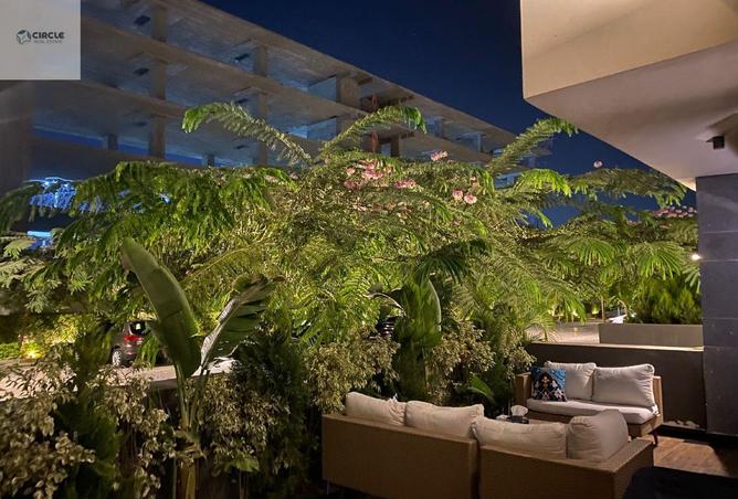 63145296 - Property Image 2