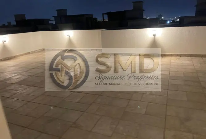 95202025 - صورة العقار 3