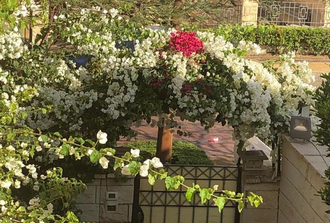 74312961 - صورة العقار 2