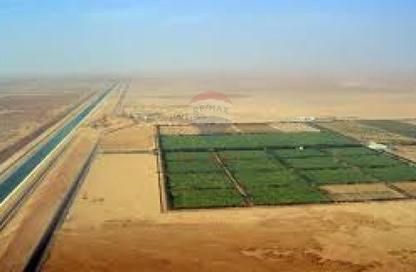 Farm - Studio for sale in Cairo   Borg Al Arab Desert Road - Borg El Arab - Borg El Arab City - Alexandria