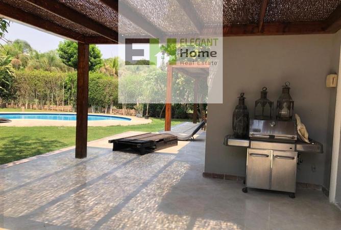 55501515 - Property Image 3