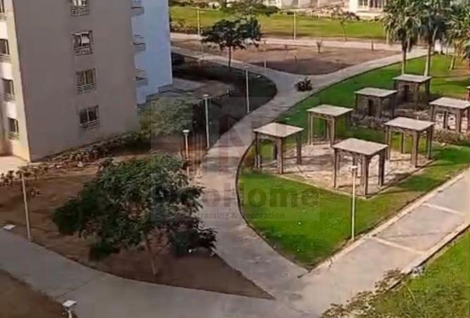 65663488 - صورة العقار 3