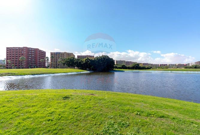 8586358 - صورة العقار 3