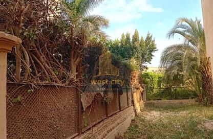 Villa - 4 Bedrooms - 4 Bathrooms for sale in Greens - 6th District - Sheikh Zayed City - Giza