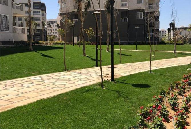 8588823 - Property Image 3