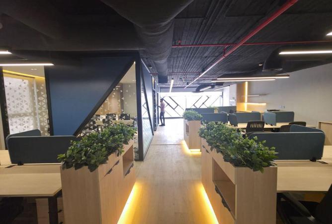 71660638 - Property Image 3