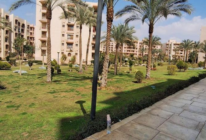 71393270 - صورة العقار 3