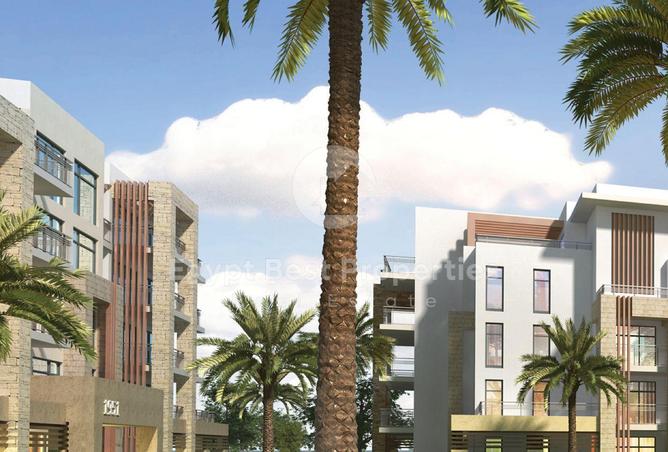 63143612 - Property Image 3