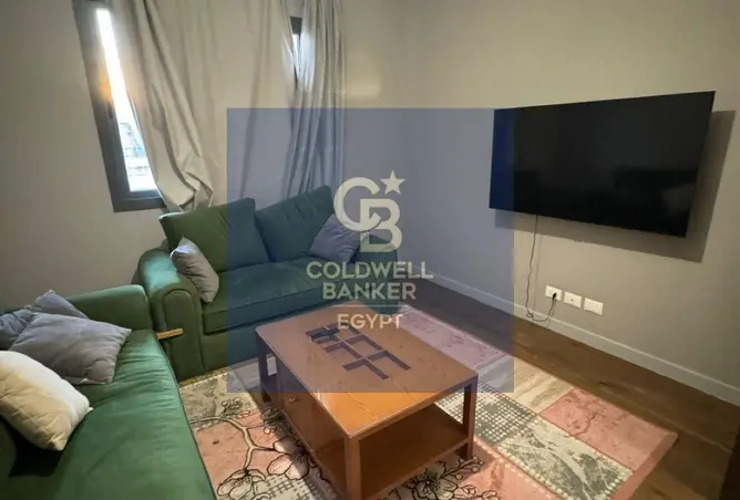 121135677 - Property Image 3