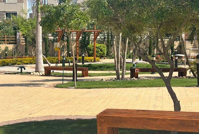 54498151 - صورة العقار 3