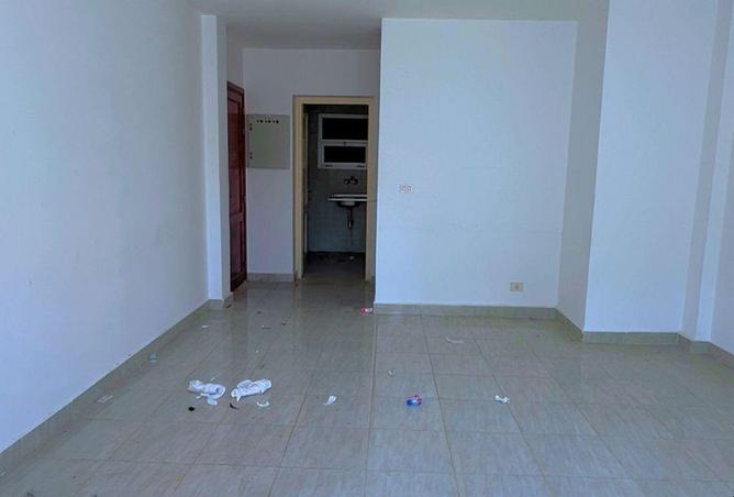 57998491 - Property Image 2