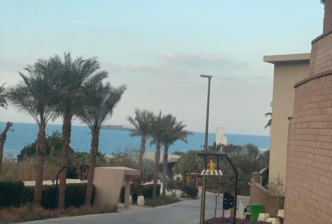 52971608 - Property Image 3