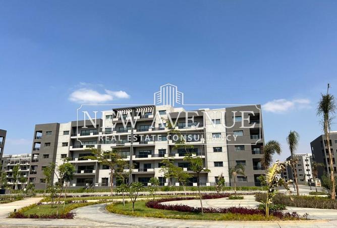 64389890 - صورة العقار 2