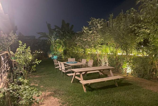 55512795 - صورة العقار 3