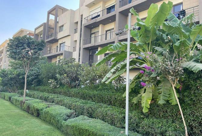 55512795 - صورة العقار 2