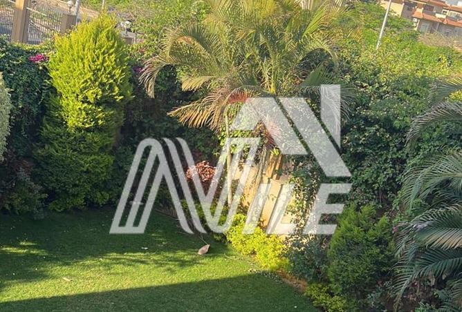 65922791 - صورة العقار 3