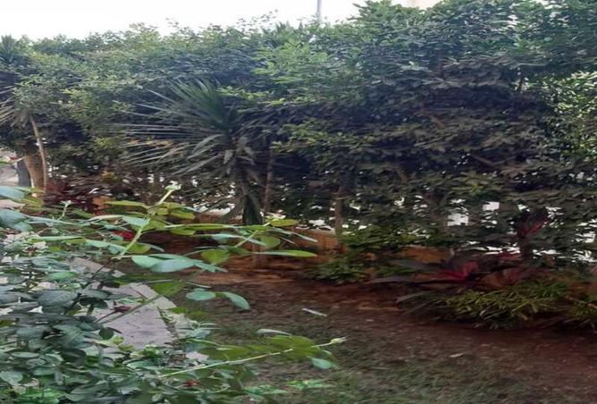 62652457 - Property Image 2