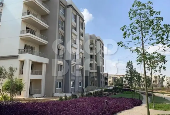 83682606 - صورة العقار 2