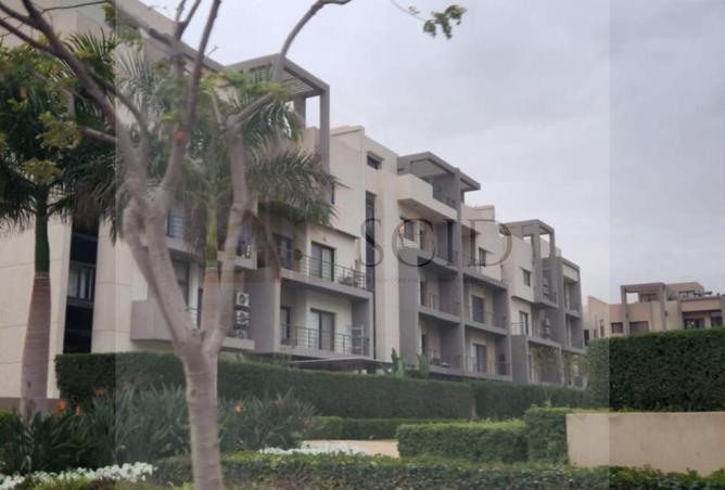 67731126 - Property Main Image