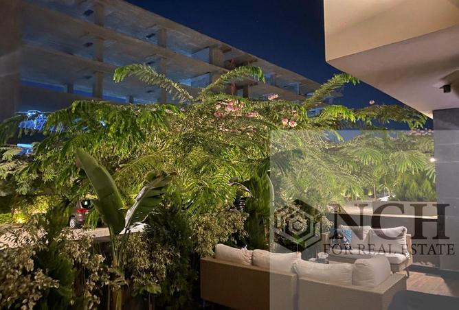 67479075 - صورة العقار 3