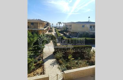 Chalet - 2 Bedrooms - 1 Bathroom for sale in Red Carpet - Al Ain Al Sokhna - Suez Chalet - 2 Bedrooms - 1 Bathroom for sale in Red Carpet - Al Ain Al Sokhna - Suez