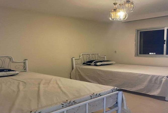 55249453 - Property Image 3