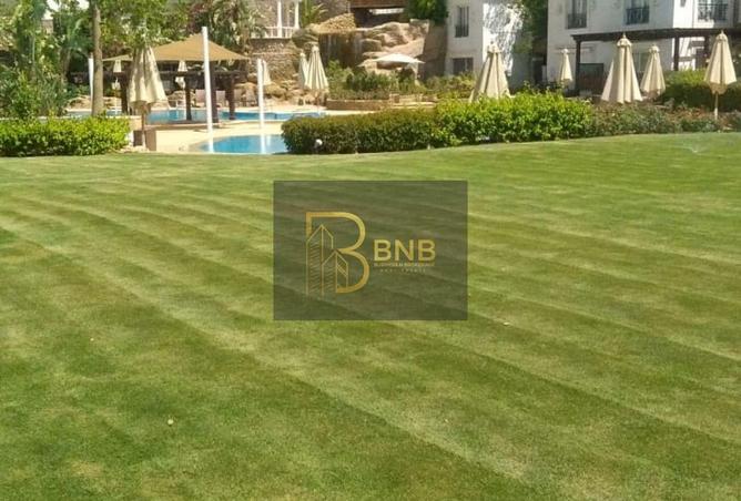 95197889 - صورة العقار 2