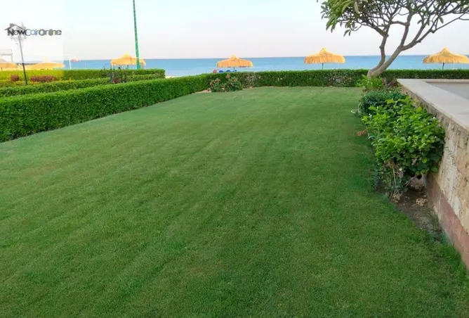 118284467 - Property Image 2