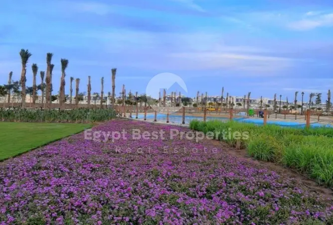 111886853 - Property Image 2