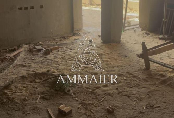 55512680 - Property Image 3