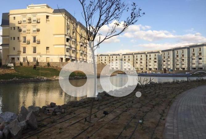 99105017 - Property Image 3