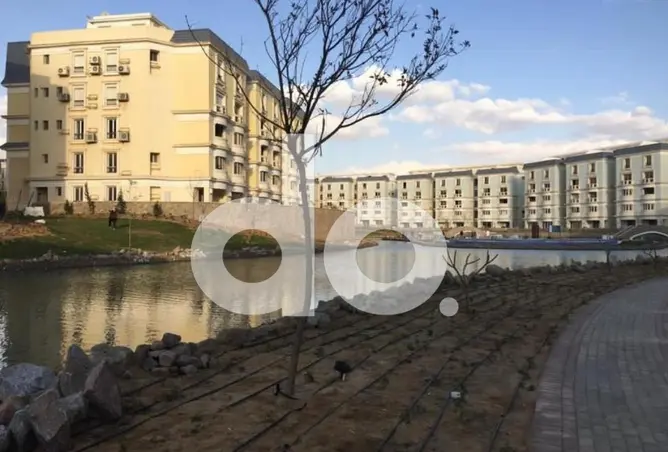 99105017 - Property Image 3