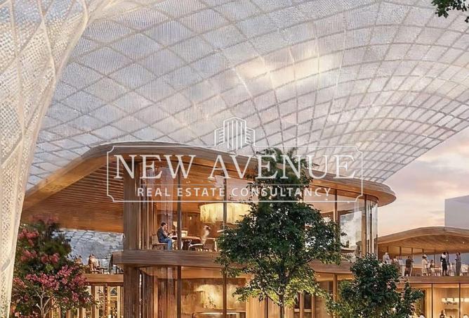 68787307 - صورة العقار 3