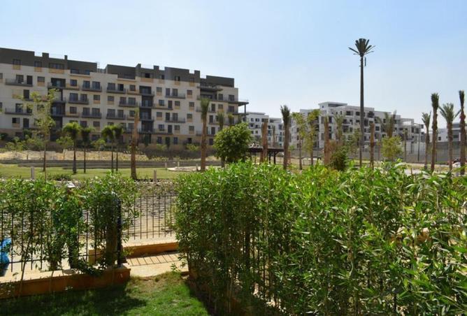 71126190 - صورة العقار 2