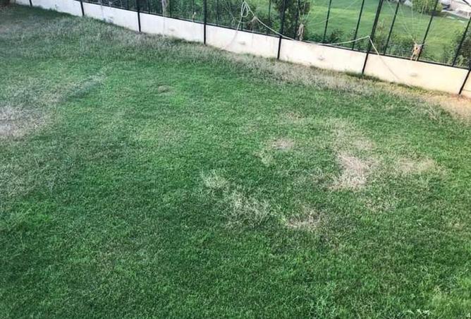 63398553 - صورة العقار 3