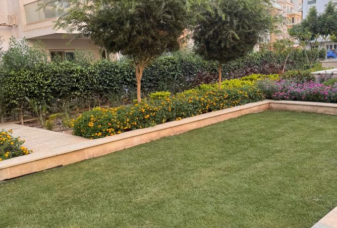 100093042 - صورة العقار 3